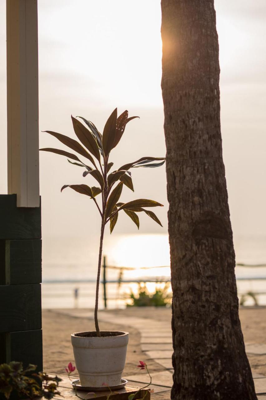 Nest Cottages Canacona Esterno foto